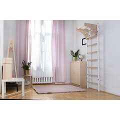 деревянно-металлические гимнастические лестницы цена и информация | Шведские стенки | 220.lv