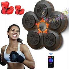 Боксерский тренировочный аппарат Iric с музыкой, 2 пары перчаток цена и информация | Комплексные тренажёры | 220.lv