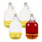 Stikla pudele, 4 gab., 5000 ml цена и информация | Virtuves piederumi | 220.lv