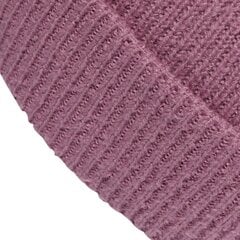 Зимняя шапка adidas WID CUFF BEANIE цена и информация | Мужские шарфы, шапки, перчатки | 220.lv