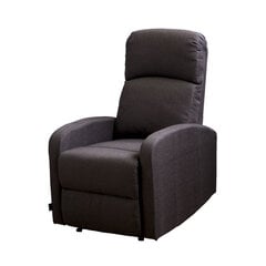 Atpūtas krēsls Astan Hogar, brūns cena un informācija | Atpūtas krēsli | 220.lv