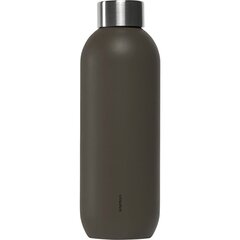 Termo pudele Stelton Keep Cool, 600 ml cena un informācija | Ūdens pudeles | 220.lv