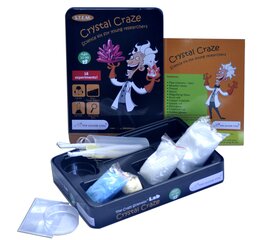 Научный набор Purple Cow LAB Crystal Craze, 542 цена и информация | Развивающие игрушки | 220.lv
