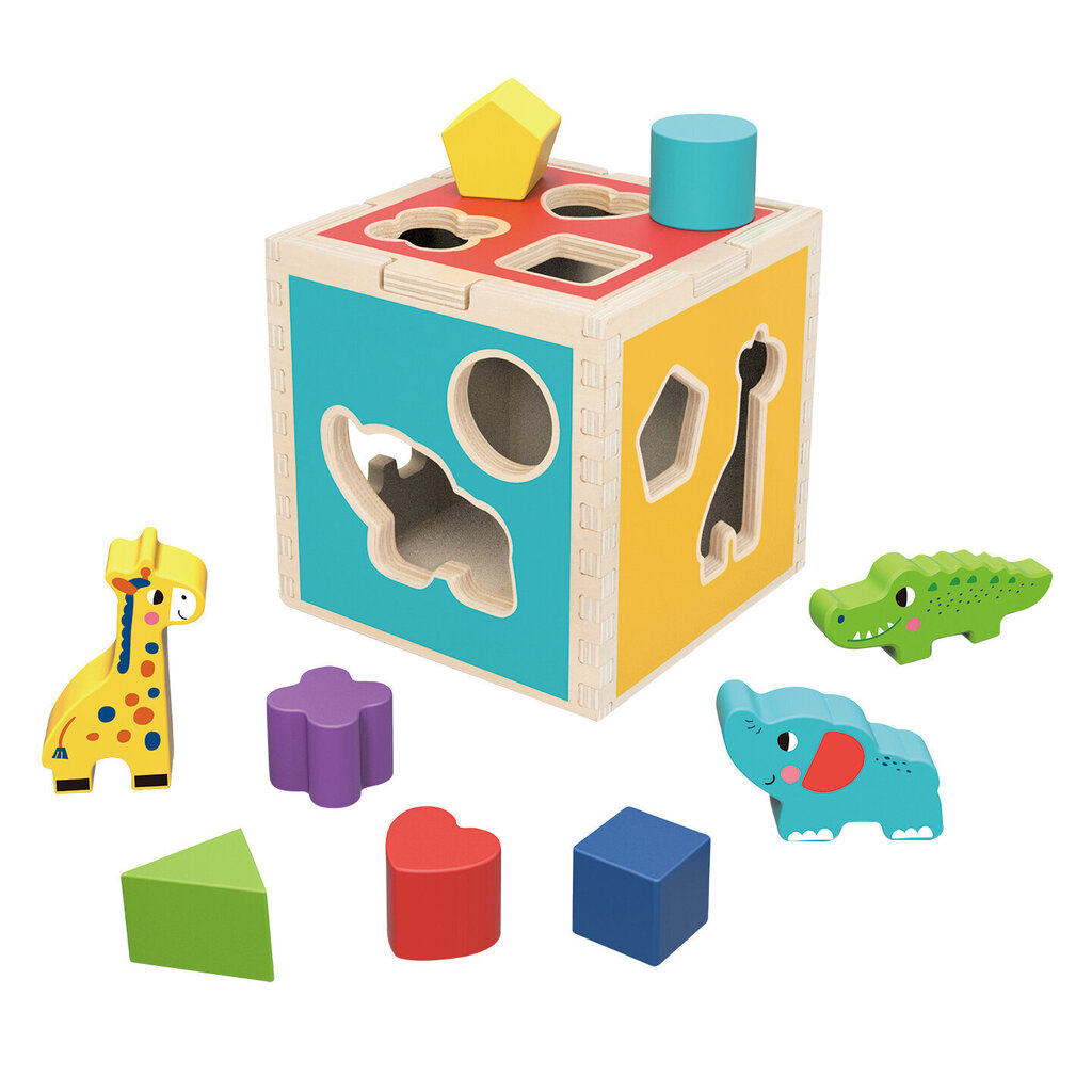 Koka šķirošanas kubs Tooky Toy цена и информация | Attīstošās rotaļlietas | 220.lv