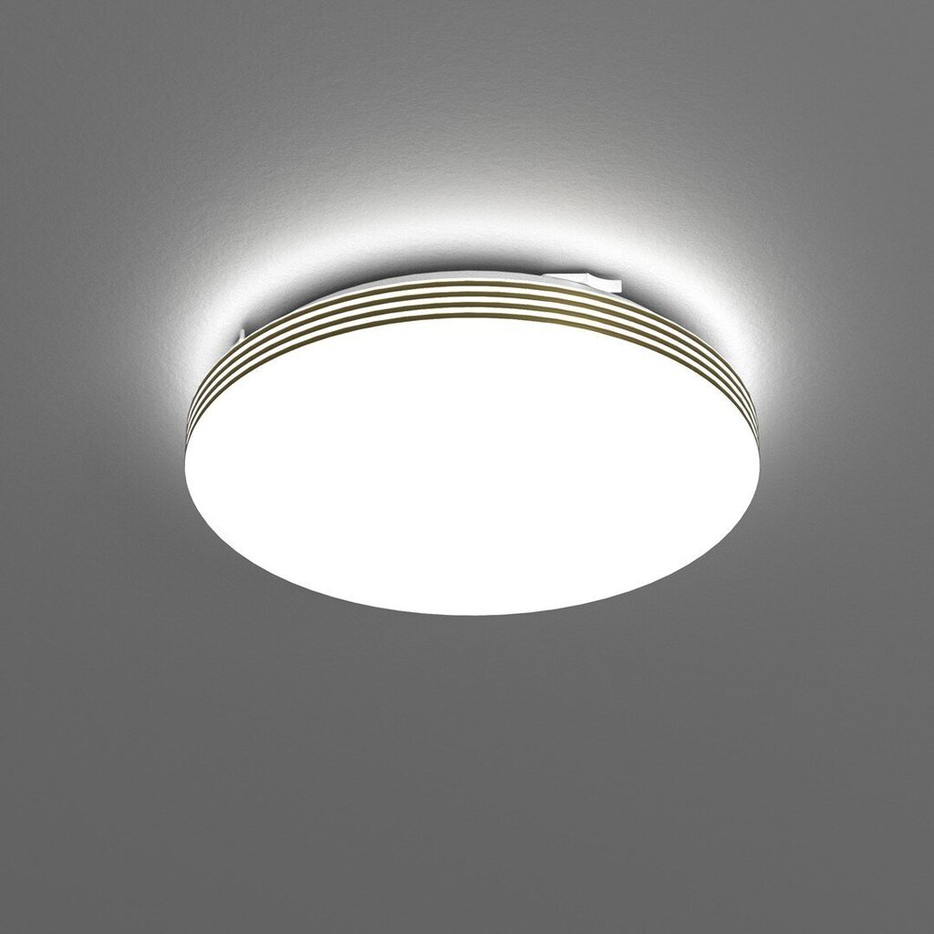 LED griestu lampa Bever cena un informācija | Sienas lampas | 220.lv