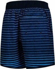 Быстросохнущие мужские плавки-шорты Aquaspeed Nolan цена и информация | Плавки, плавательные шорты | 220.lv