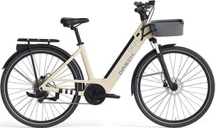 Электровелосипед Dasch Okay EB10, 28", бежевый, 250 Вт, 14,4 Ач цена и информация | Электровелосипеды | 220.lv