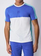 Мужская футболка Champion, сине-мятно-зеленый цвет цена и информация | Мужские футболки | 220.lv