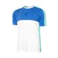 Champion vīriešu t-krekls, zilas-piparmētru zaļas krāsas cena un informācija | Vīriešu T-krekli | 220.lv