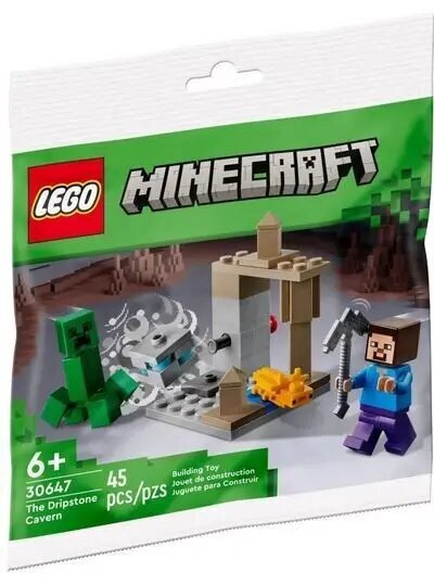 30647 LEGO® Minecraft The Dripstone Cavern, 45 d. цена и информация | Konstruktori | 220.lv