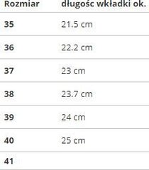 Skrituļslidas SMJ Sport, 41. izmērs, zilas цена и информация | Ролики | 220.lv