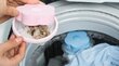 Matu noņemšanas siets veļas mašīnā - zils cena un informācija | Tīrīšanas piederumi | 220.lv