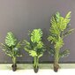 Mākslīgais dekoratīvais augs 70 cm cena un informācija | Mākslīgie ziedi | 220.lv