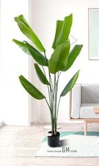 Mākslīgais dekoratīvais augs 160 cm cena un informācija | Mākslīgie ziedi | 220.lv
