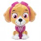 Paw Patrol Skye pudele, 335 ml cena un informācija | Ūdens pudeles | 220.lv