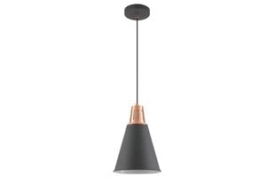 Piekaramā lampa Gianni 9974 cena un informācija | Lustras | 220.lv