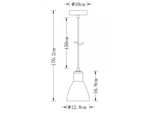 Подвесной светильник Etore L, 12,8 см, черный 2072 цена и информация | Люстры | 220.lv