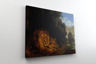 Reprodukcija Divas lauvas alā, Wilhelm Kuhnert цена и информация | Картины | 220.lv