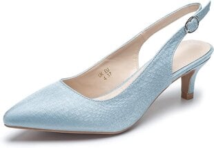 Жеские туфли на каблуке Aro Lora, голубые цена и информация | Женская обувь | 220.lv