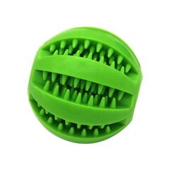 Suņu bumba - zaļa cena un informācija | Suņu rotaļlietas | 220.lv