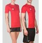 T-krekls vīriešiem Arena TL Tech, sarkans cena un informācija | Vīriešu T-krekli | 220.lv