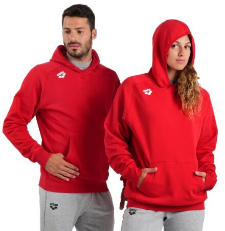 Unisex džemperis Arena TL Hoodie, sarkans cena un informācija | Vīriešu jakas | 220.lv