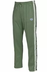 Мужские брюки Arena Split Side Team Pant, зелёный цена и информация | Мужские брюки | 220.lv