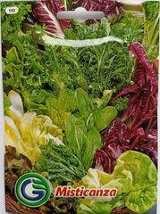 Смесь листового салата, 12 г цена и информация | Семена овощей, ягод | 220.lv
