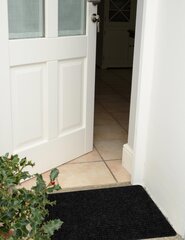 E-floor durvju paklājs Tripple 40x60 cm cena un informācija | Kājslauķi | 220.lv