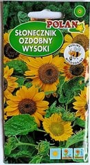 Saulespuķe augsta цена и информация | Семена цветов | 220.lv