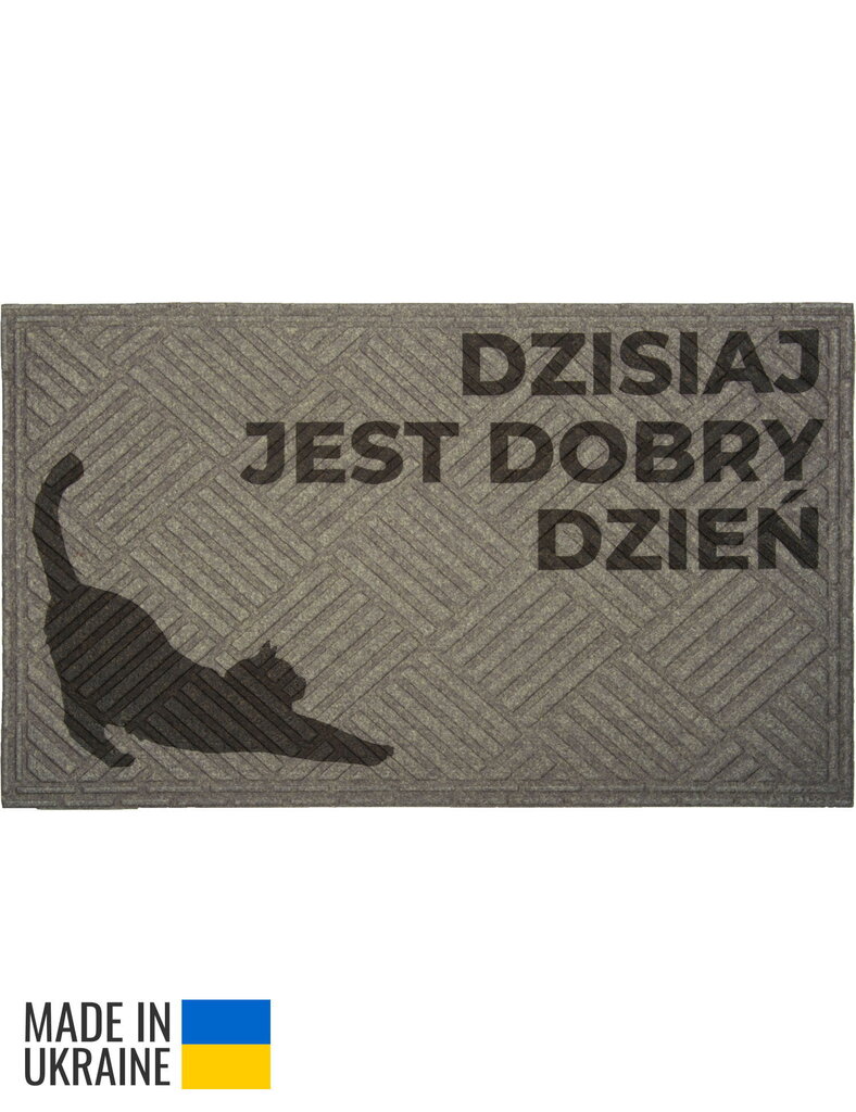 E-floor durvju paklājs 45x75cm cena un informācija | Kājslauķi | 220.lv