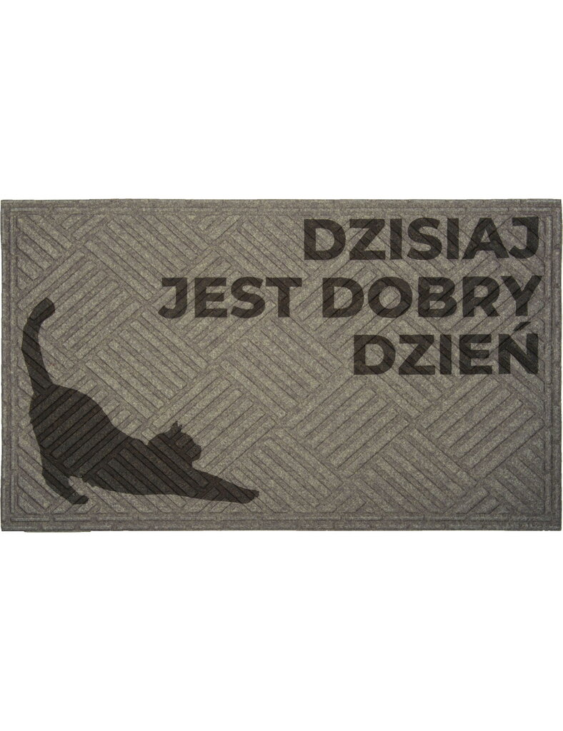 E-floor durvju paklājs 45x75cm cena un informācija | Kājslauķi | 220.lv