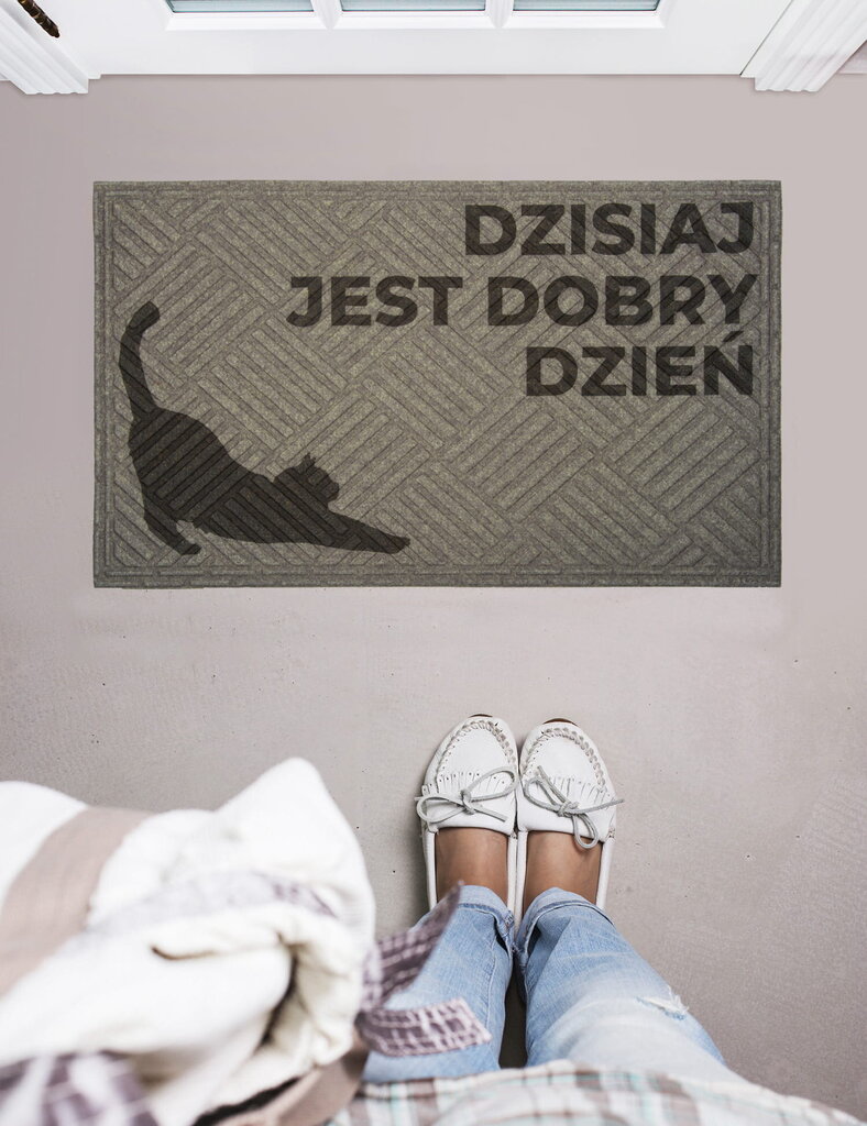 E-floor durvju paklājs 45x75cm cena un informācija | Kājslauķi | 220.lv