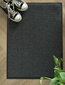 E-floor durvju paklājs 40x60cm цена и информация | Kājslauķi | 220.lv