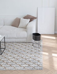 E-floor paklājs Plush 200x300 cm цена и информация | Ковры | 220.lv
