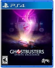 Ghostbusters: Spirits Unleashed PS4 cena un informācija | Datorspēles | 220.lv