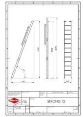 Лестница Minka Strong 12, 290 - 307 см цена и информация | Лестницы | 220.lv