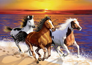 Koka puzle Wooden City Savvaļas zirgi pludmalē, 1010 d. цена и информация | Пазлы | 220.lv