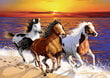 Koka puzle Wooden City Savvaļas zirgi pludmalē, 1010 d. цена и информация | Puzles, 3D puzles | 220.lv