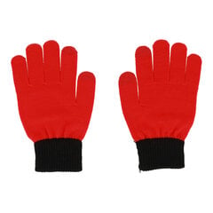 Перчатки для сенсорных экранов SANTA CLAUS RED цена и информация | Женские перчатки | 220.lv