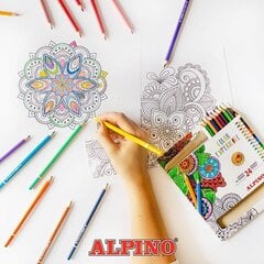 Карандаши цветные Alpino Color Experience, 24 цвета цена и информация | Принадлежности для рисования, лепки | 220.lv