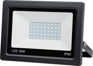 LED prožektors 30W cena un informācija | Lukturi | 220.lv