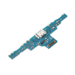 Akero Lab Samsung P610 Tab S6 Lite цена и информация | Запчасти для телефонов и инструменты для их ремонта | 220.lv