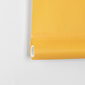 Rullo žalūzijas Bojanek Maxi oranžas 100x230 cm cena un informācija | Rullo žalūzijas | 220.lv