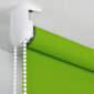 Rulo žalūzijas Bojanek Maxi zaļas 200x170cm cena un informācija | Rullo žalūzijas | 220.lv