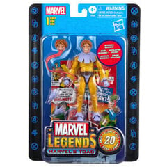 Marvel Legends Marvel Toad cena un informācija | Datorspēļu suvenīri | 220.lv