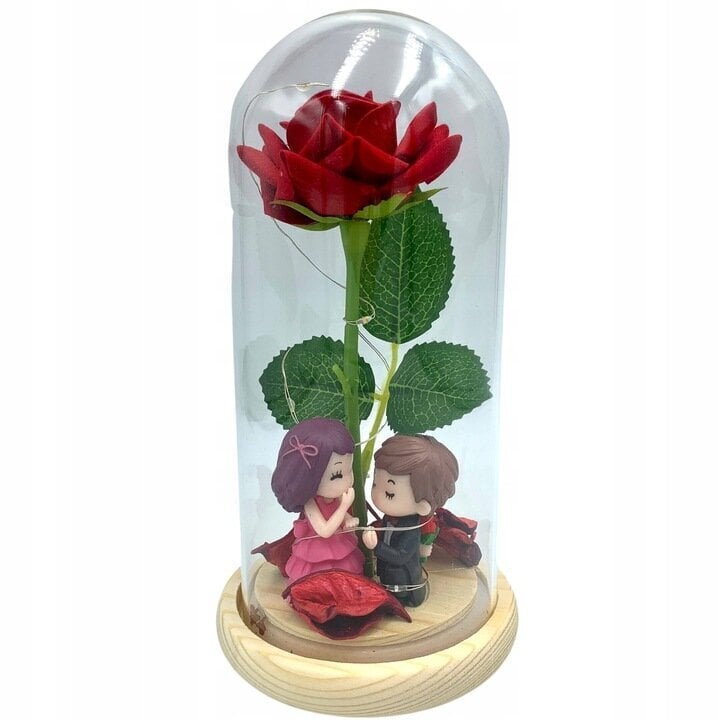 Mūžīgā roze stikla kupolā ar LED gaismām cena un informācija | Citas oriģinālas dāvanas | 220.lv