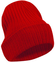 Cepure 16956 cena un informācija | Sieviešu cepures | 220.lv