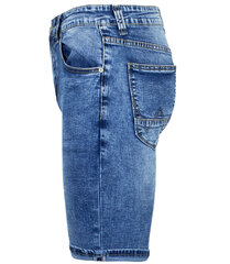 Мужские джинсовые шорты с потертостями цена и информация | Мужские шорты | 220.lv