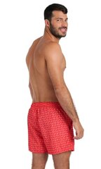 Плавки-шорты для мужчин Arena, красные цена и информация | Плавки, плавательные шорты | 220.lv